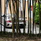 Illustration for article titled Hiding Behind The Bamboo Was Ralph Laurens Fast Ride To Como